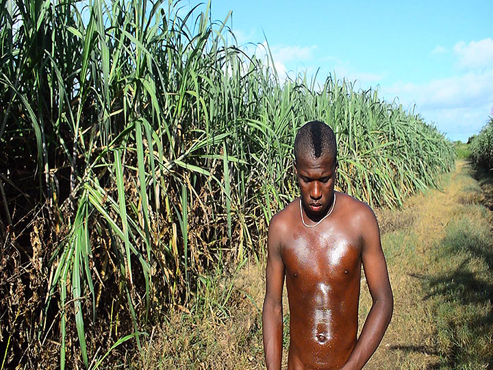 Horse Hung Nigerian Boy